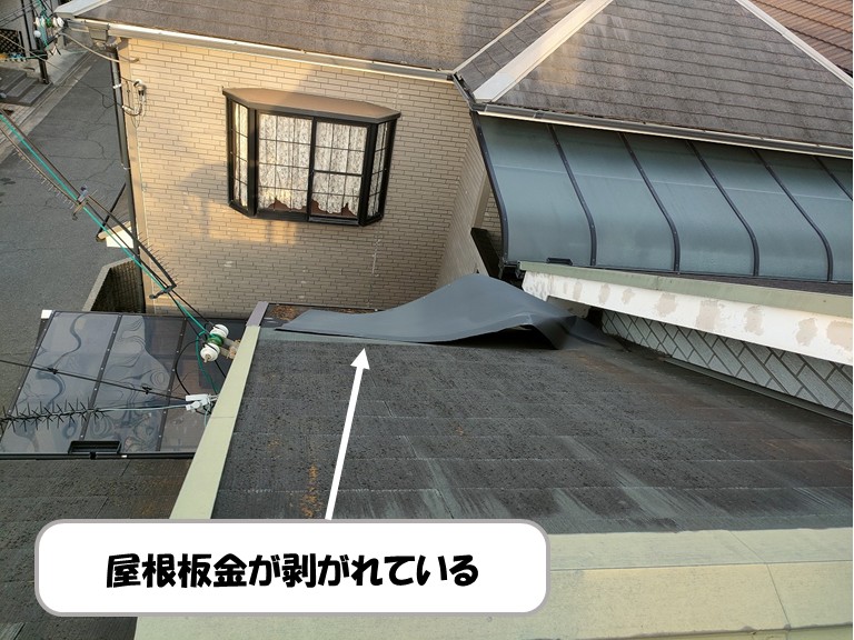 和泉市屋根板金が剥がれている